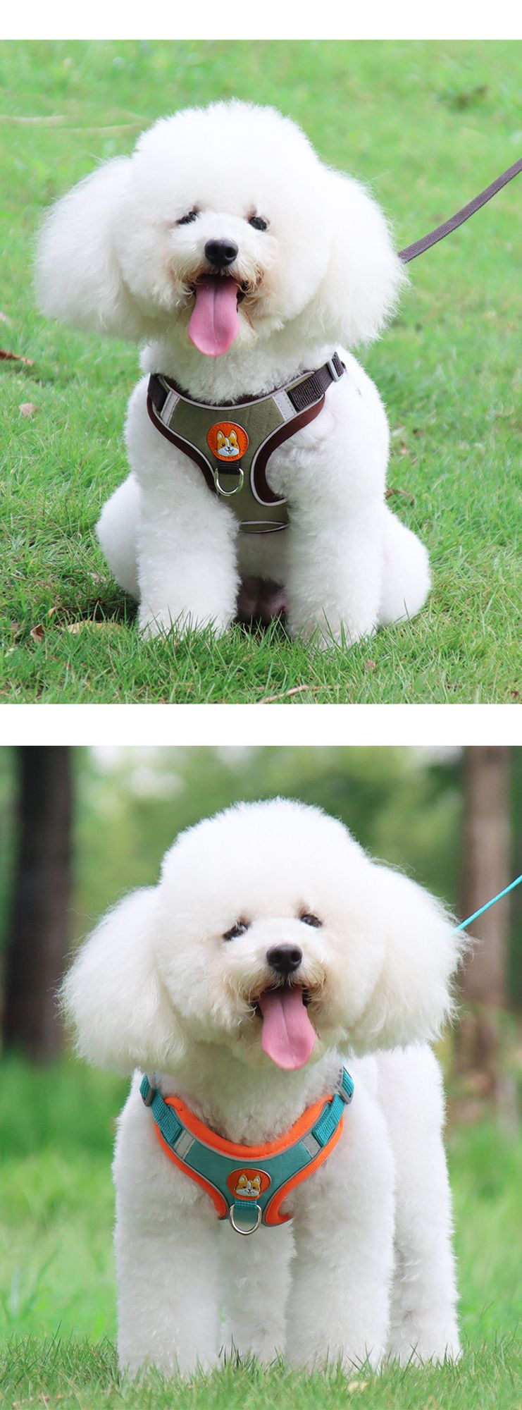 531102461