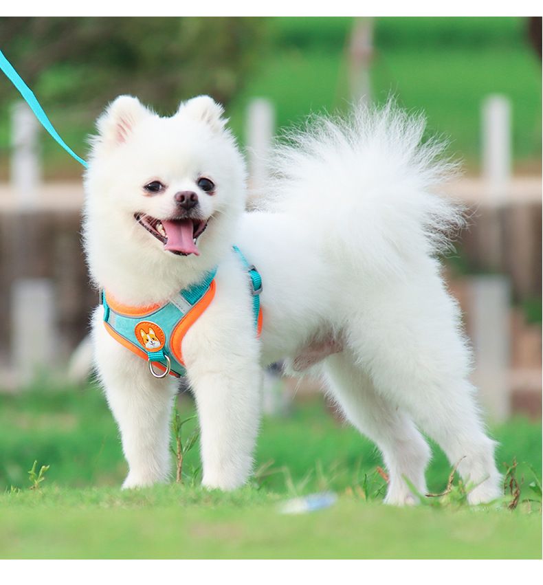 531102441